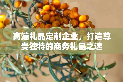 高端礼品定制企业，打造尊贵独特的商务礼品公司